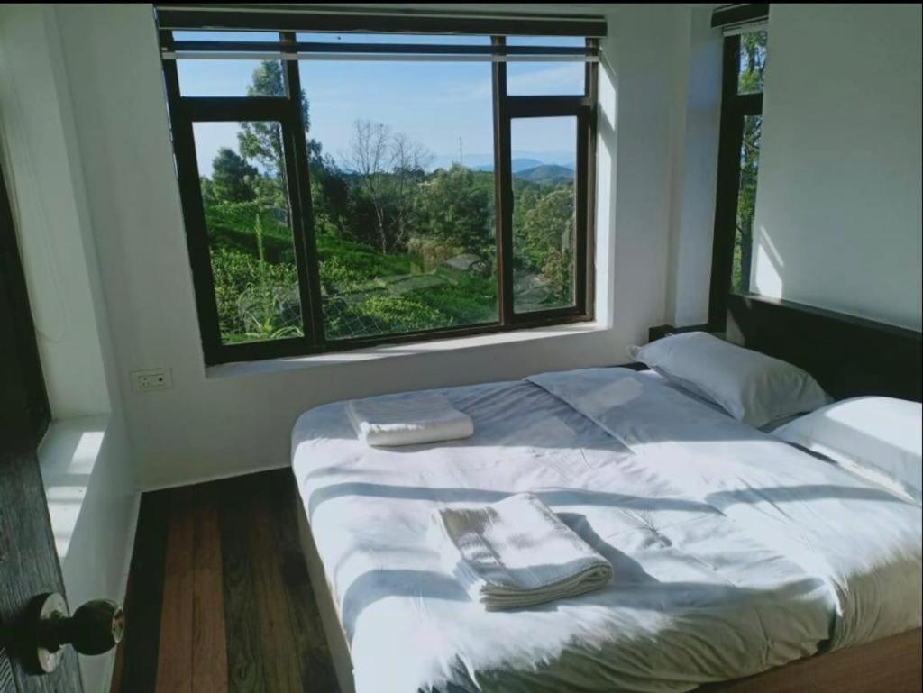Carrot Creek Resort ウーティ エクステリア 写真